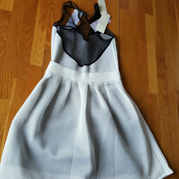 NWT$200 LUXURY  FASHION ❤ Sporty Sheer Scuba Dress - Picture 6 of 6